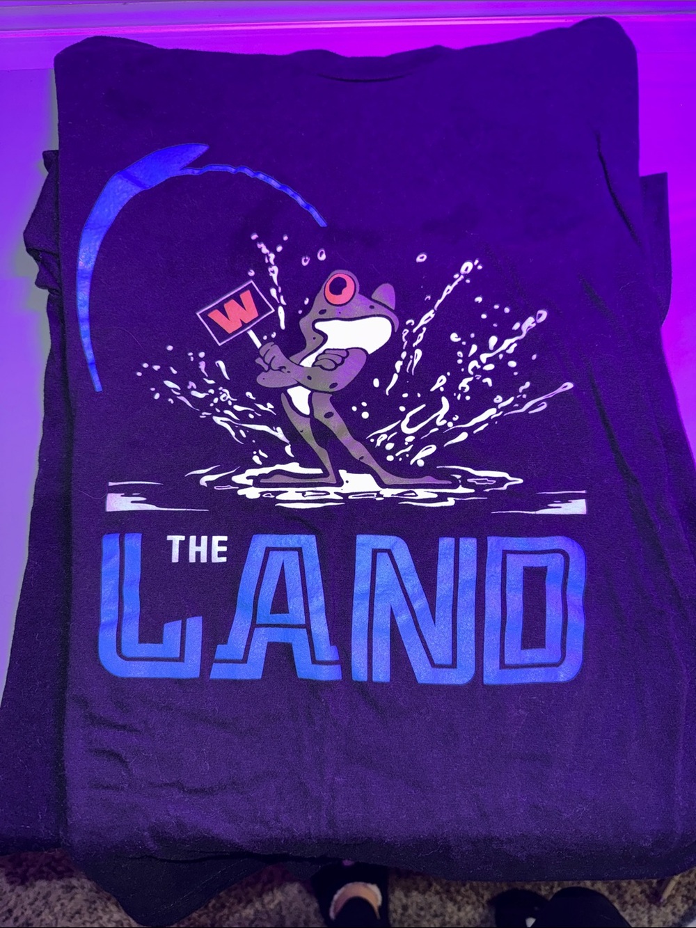 The Land Frog Graphic Tee - Black with Blue and White Print